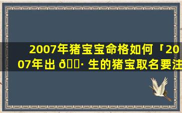2007年猪宝宝命格如何「2007年出 🕷 生的猪宝取名要注意哪些」